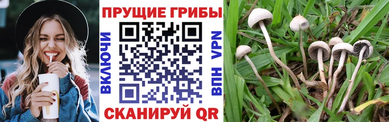 наркотики Урус-Мартан Галлюциногенные грибы ЛСД